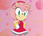Amy Rose, Sonic kız iddia kirpi kadın